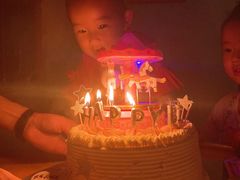 -糕小爱·动物奶油生日蛋糕定制(合肥总店)