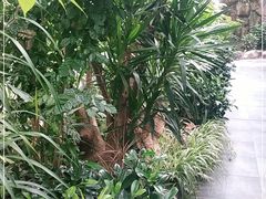 -滕头生态酒店(奉化店)