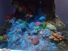 -中国湿地博物馆