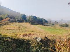 -秦岭风景区