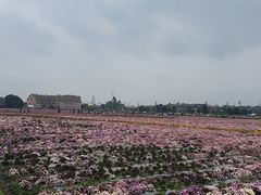 -中国天府农业博览园