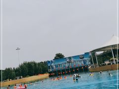 -海盗传奇水世界