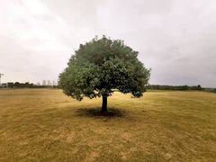 -无锡新湖铂尔曼大酒店