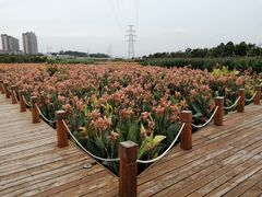 -那考河湿地公园