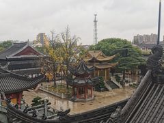 -上海东林寺(金山区)