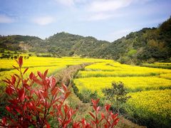 -新安江山水画廊风景区