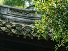 -白鹿洞书院