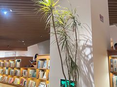 -新华文创·光的空间