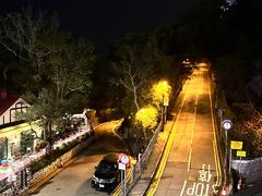 -太平山餐厅(山顶道店)