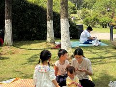 -桃花岭景区