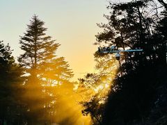 -庐山风景区花径公园