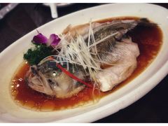 清蒸鲈鱼-刘胖子家常菜·蹄花焖藕(中南店)