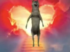 -王虎子大饼(甸柳新村五区店)