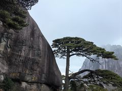 -黄山风景区