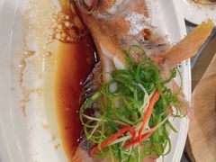 -吴记富苑(朝阳店)