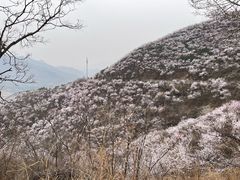 -妙峰山风景名胜区
