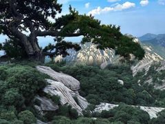 -华山风景名胜区