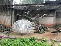 -南昌动物园