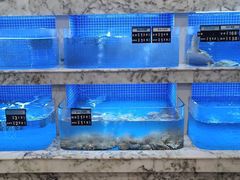 水产区-香山湖渔家大院