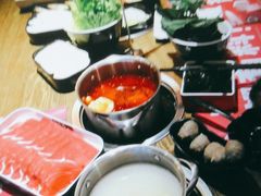 -汤岛涮小火锅(温州龙湾万达店)