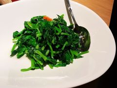 豌豆苗-梧桐