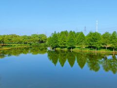 -扬州芍药园(仪征市)