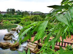 -贵阳市花溪国家城市湿地公园