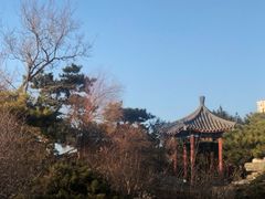 -丰台花园