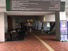 -香港大学