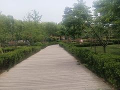 -马濠公园
