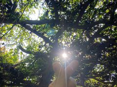-广西壮族自治区药用植物园