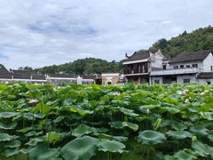 -新田龙家大院