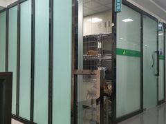 -半岛宠物医院24小时(科华中路店)