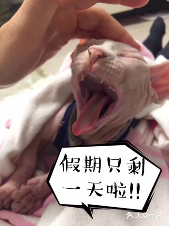 看一下我们牙牙的变化，小时候像小豆子一样，长大后就变