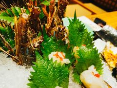 小青龙-柚子(假日店)