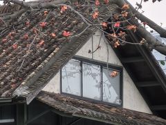 -喜洲吧·江畔老船厂·庭院餐厅(喜临院店)