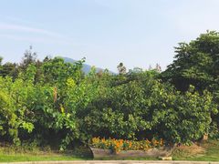 -乌石塘景区