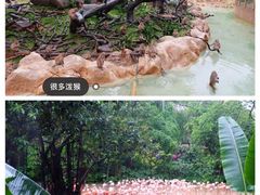 -广州长隆野生动物世界