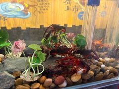 -长沙文和友(海信广场店)