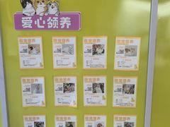 -瑞虹新天地月亮湾