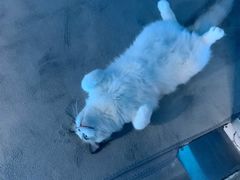 -零纪元VR体验馆·桌游(黄浦店)