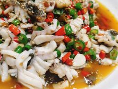 藤椒鱼-三猫黑鱼花(南大店)