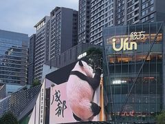 -合景·悠方(成都店)