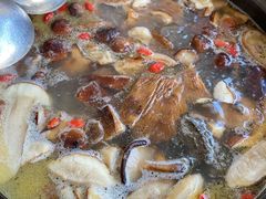 -云朵石锅鱼·野生菌餐厅(蒗放店)