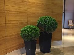 -上海中航虹桥机场泊悦酒店