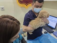 -美迦爱-牙专科·兔科·骨科诊疗中心(北苑店)