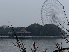 -无锡蠡湖国家湿地公园-蠡园