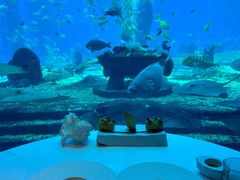 -亚特兰蒂斯•OSSIANO奥西亚诺海底餐厅