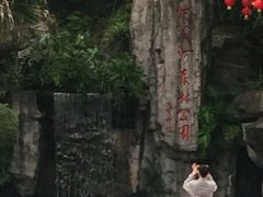 -广州市流溪河国家森林公园