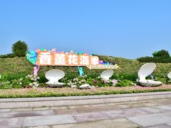 -杭州湾海上花田景区